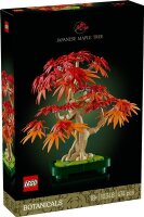 Japanischer Roter Ahorn – Bonsai-Baum