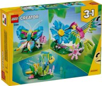 Wilde Tiere: Bunter Kolibri