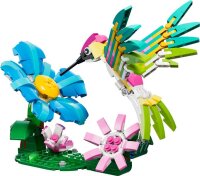 Wilde Tiere: Bunter Kolibri