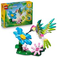 Wilde Tiere: Bunter Kolibri