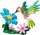 Wilde Tiere: Bunter Kolibri