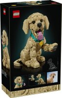 Golden Retriever Welpe