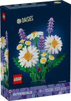 Gänseblümchen