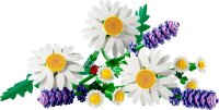 Gänseblümchen