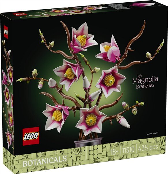 Magnolienzweige