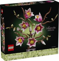 Magnolienzweige