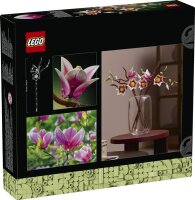 Magnolienzweige