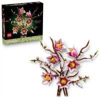 Magnolienzweige