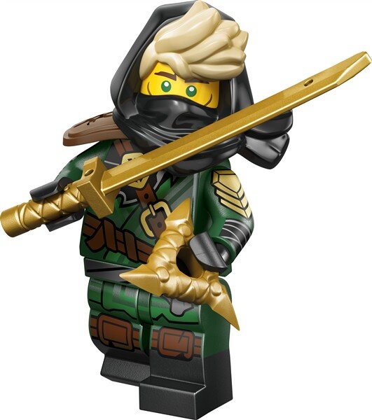Geheimnisvoller Ronin